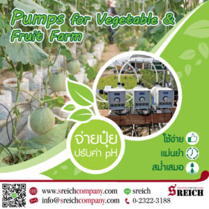 Dosing pump ปั๊มจ่ายปุ๋ยน้ำหมักชีวภาพ ให้พืชผัก ตัวช่วยประหยัดเวลาในการให้ปุ๋ย